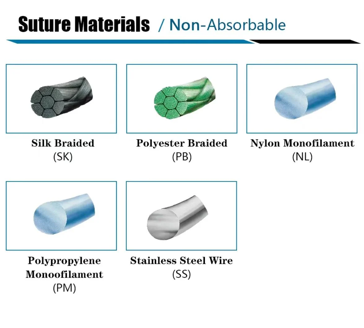 QS Medical service support team assisting client